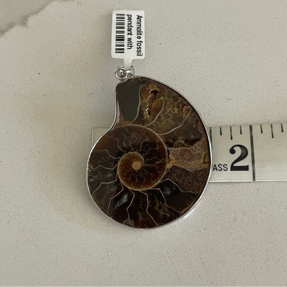 One of A Kind Ammolite Fossil Pendant - Picture 5 of 10